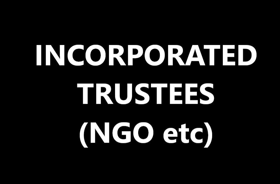 1581Incorporated Trustees (NGO etc)